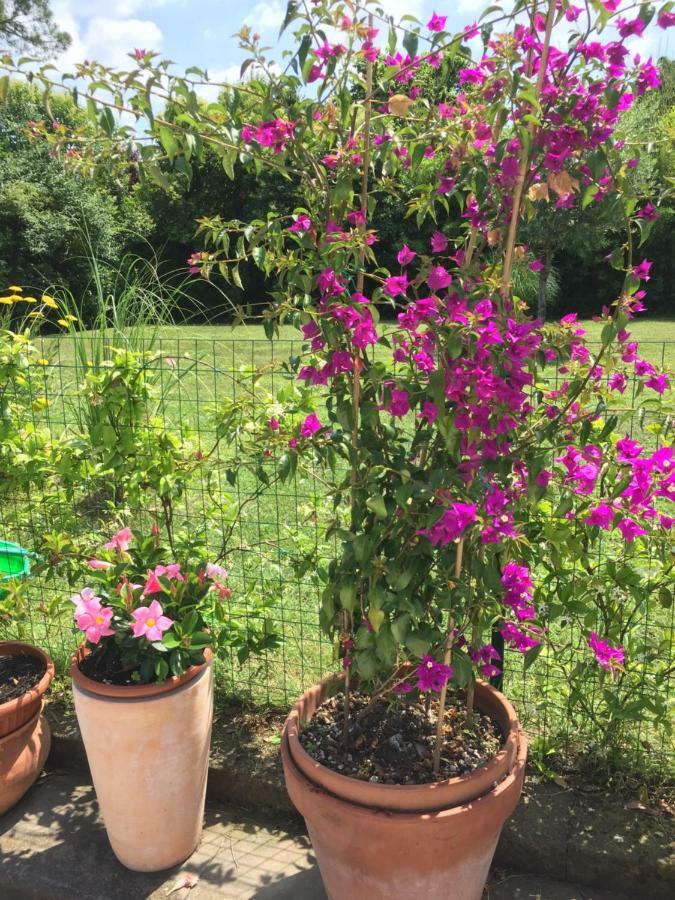 B&B La Villa Mediterranea Passirano Eksteriør billede