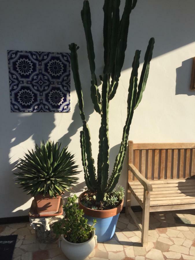 B&B La Villa Mediterranea Passirano Eksteriør billede